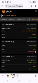 Screenshot_20251115_204822_Chrome.jpg
