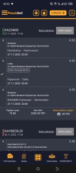 Screenshot_20251128-005254.jpg
